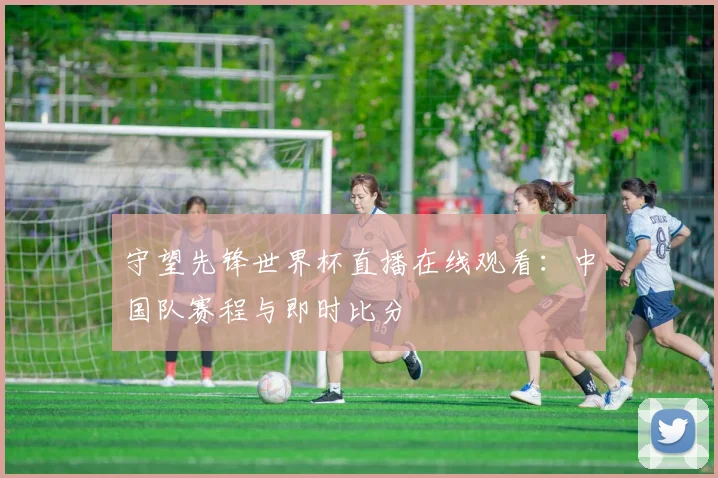 守望先锋世界杯直播在线观看：中国队赛程与即时比分
