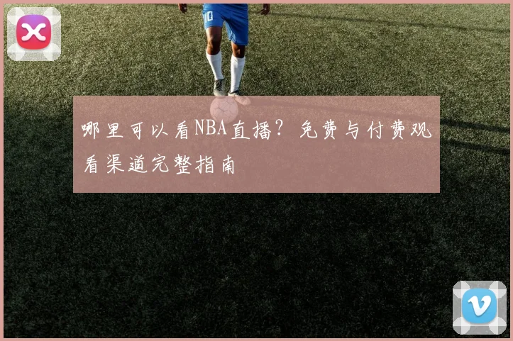 哪里可以看NBA直播？免费与付费观看渠道完整指南