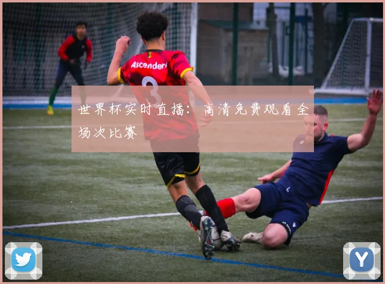 世界杯实时直播：高清免费观看全场次比赛