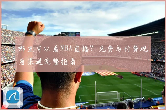 哪里可以看NBA直播？免费与付费观看渠道完整指南